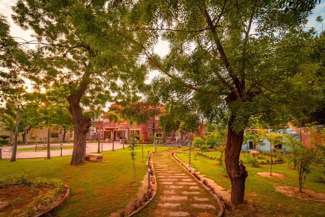 Tree Of Life Bhadrajun House, Jodhpur Hotel Jodhpur  Exterior photo
